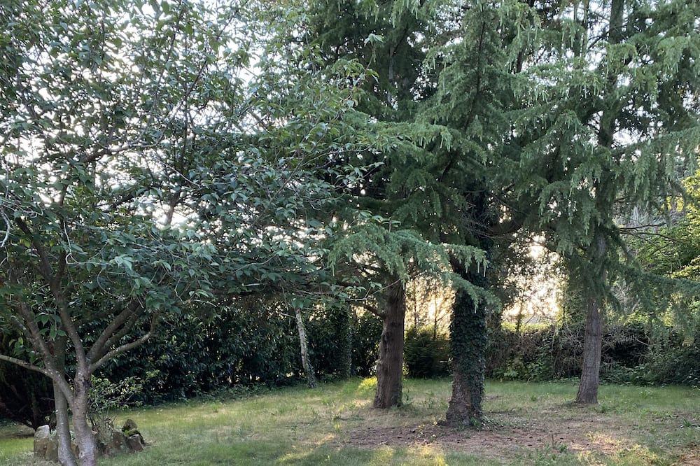 Photo of Outdoor in Piseux