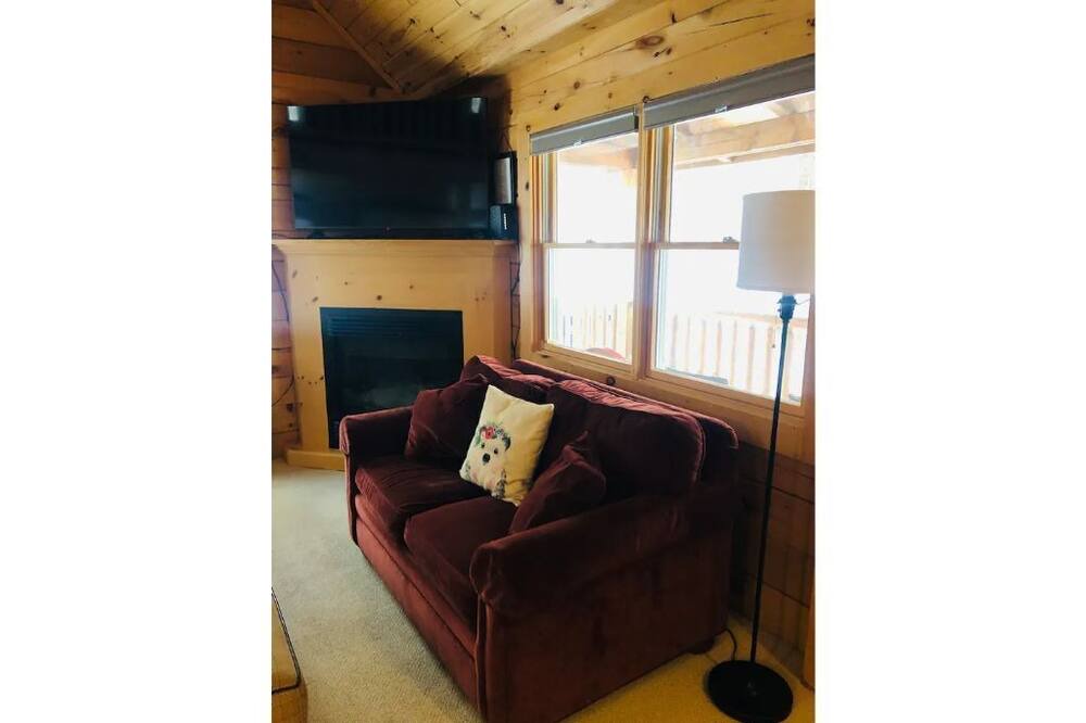 Photo of Livingroom in Bellaire