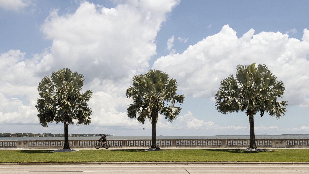 Photo of Outdoor in Downtown Tampa