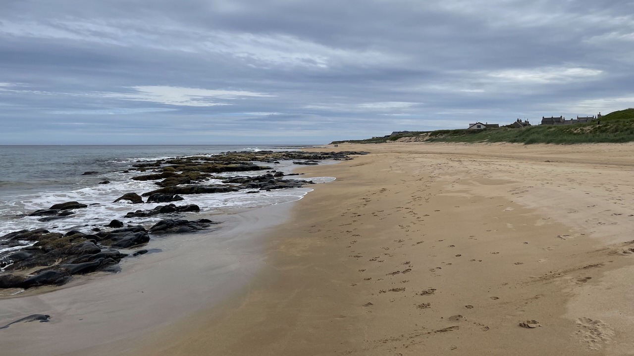 Photo of Others in St Combs