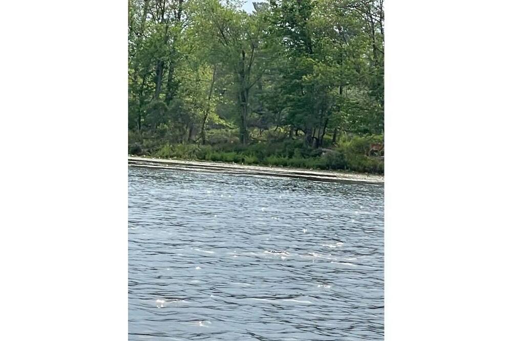 Photo of Others in Frontenac