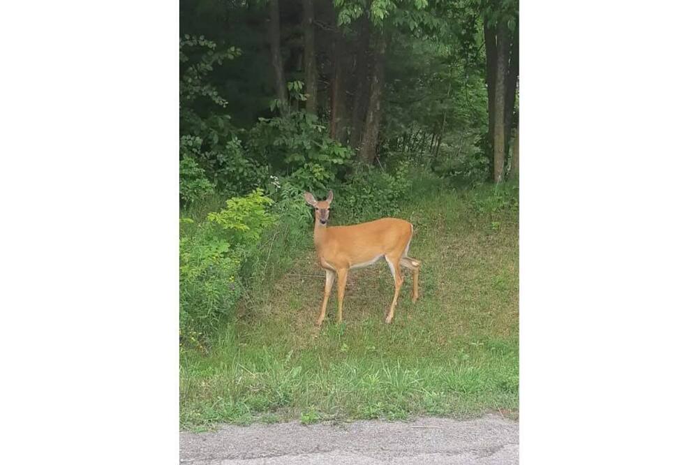 Photo of Outdoor in Frontenac