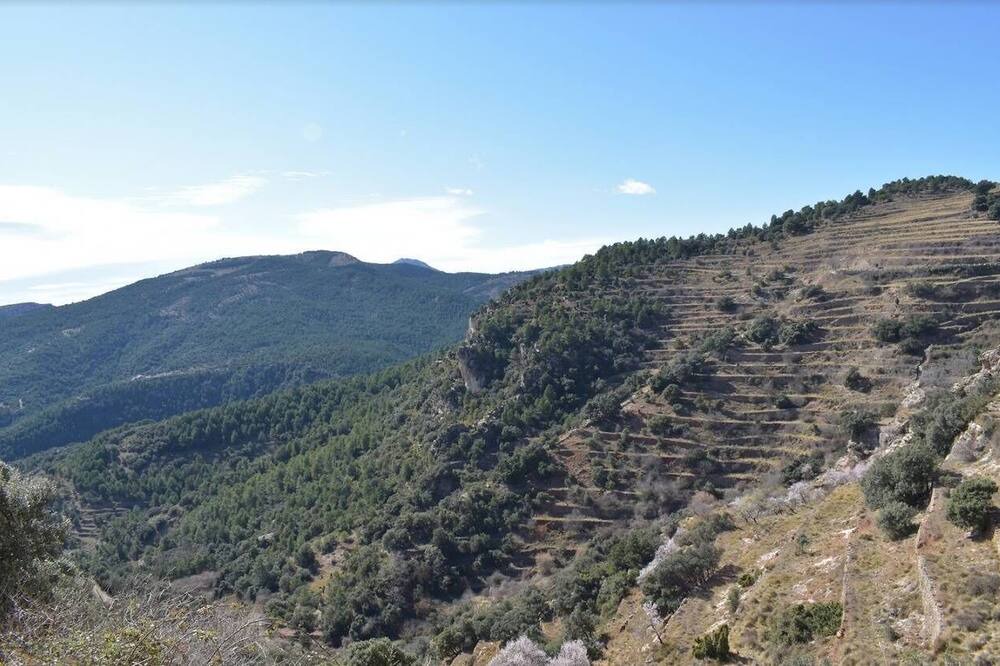 Photo of Others in Vistabella del Maestrat