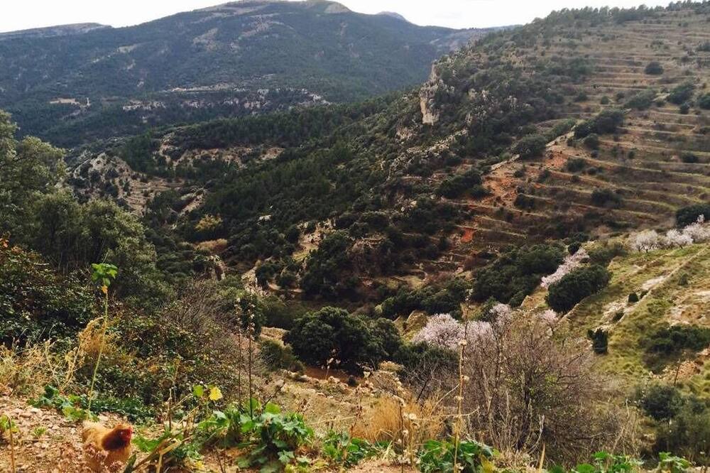 Photo of Others in Vistabella del Maestrat
