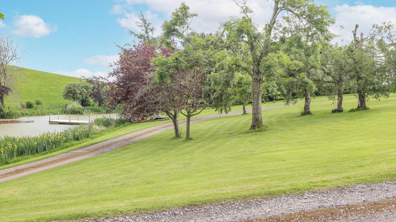 Photo of Others in Hayton