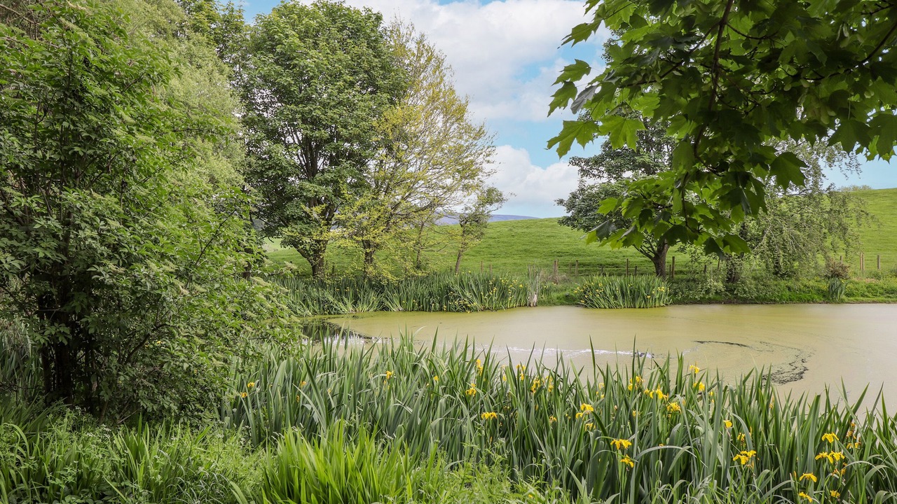 Photo of Others in Hayton