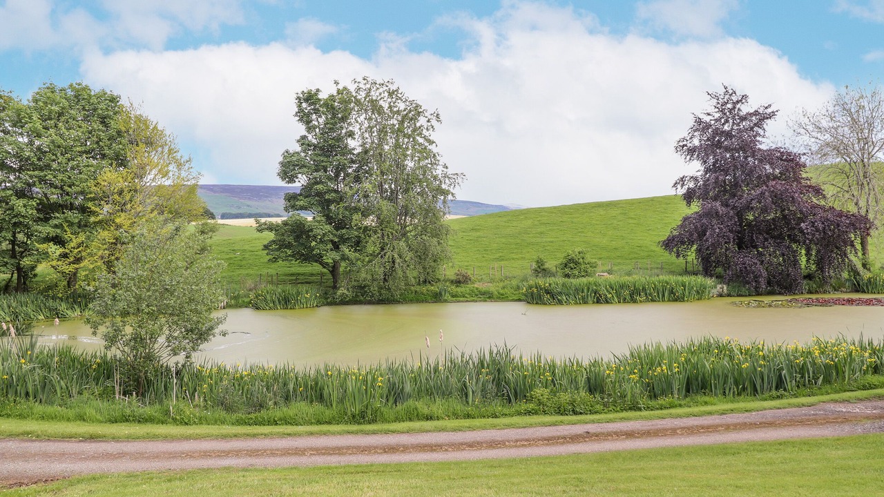 Photo of Others in Hayton