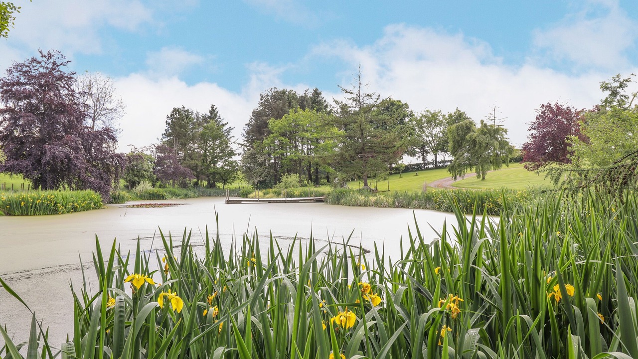 Photo of Others in Hayton