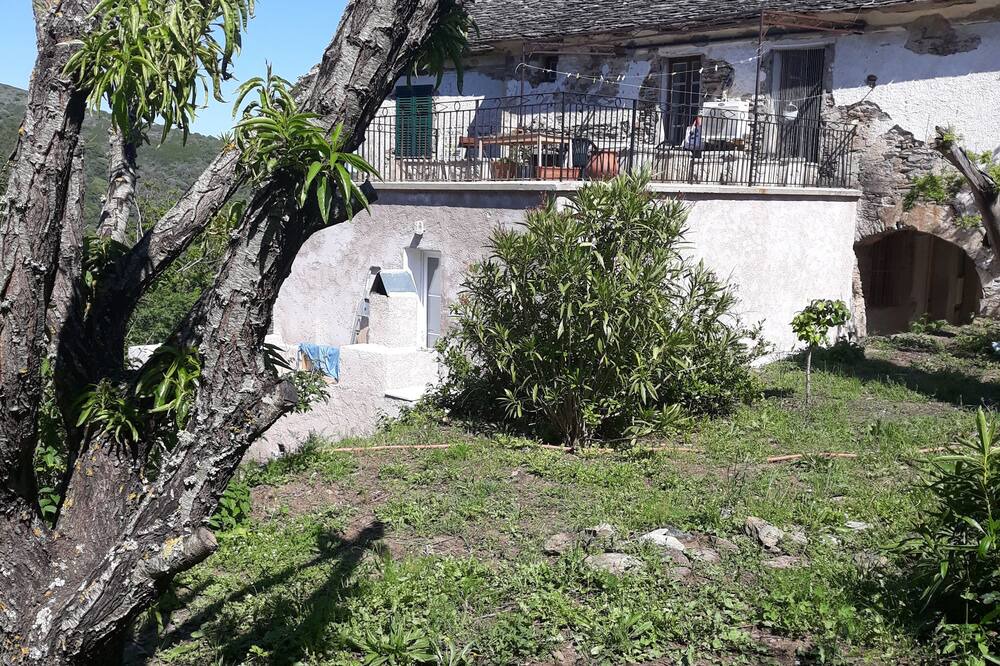 Photo of Outdoor in Luri