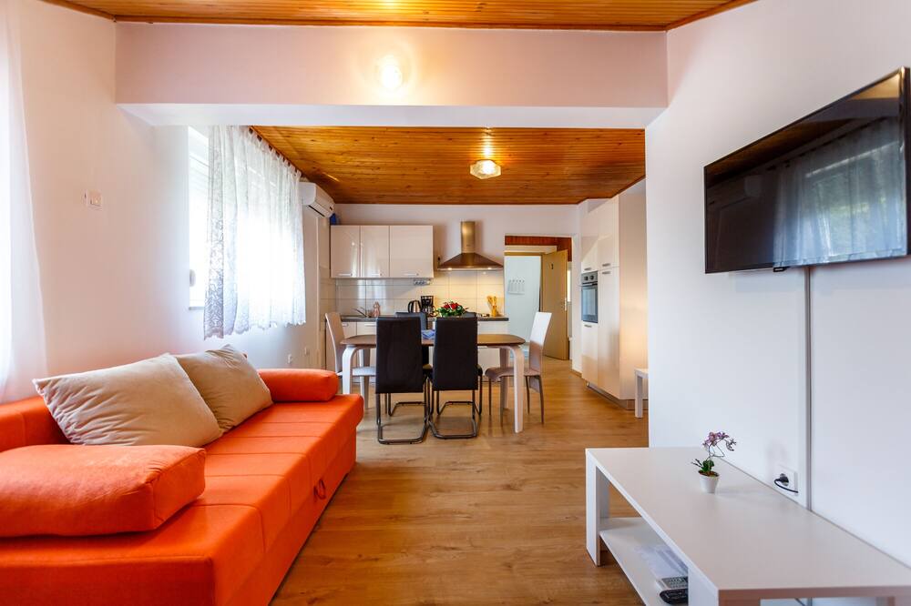 Photo of Livingroom in Draga Bascanska