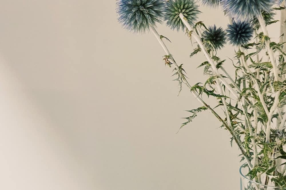 Photo of Others in Vieux-Charmont