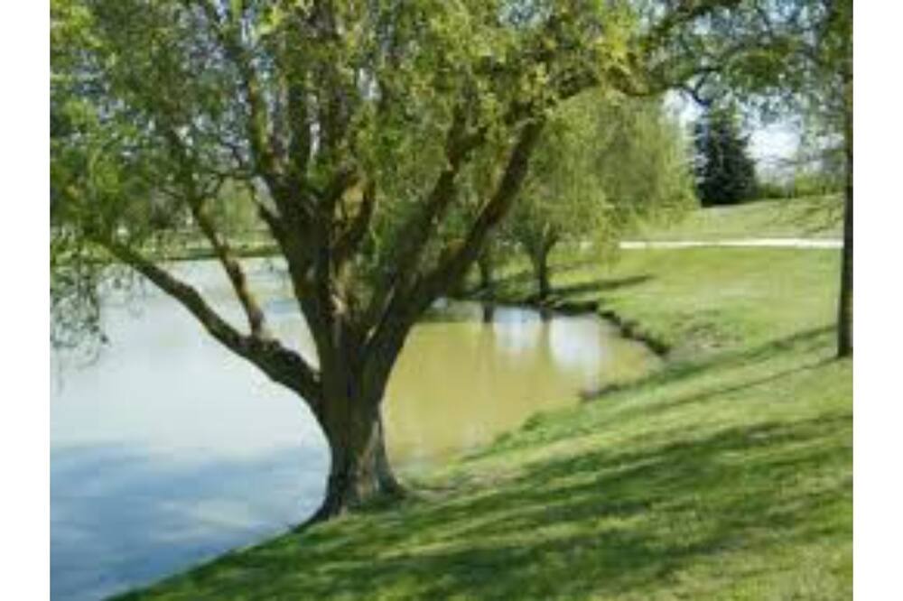 Photo of Outdoor in Sainte-Foy-d'Aigrefeuille