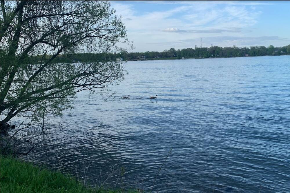 Photo of Others in Fort Erie