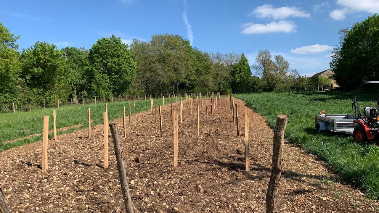 Photo of Others in Airvault