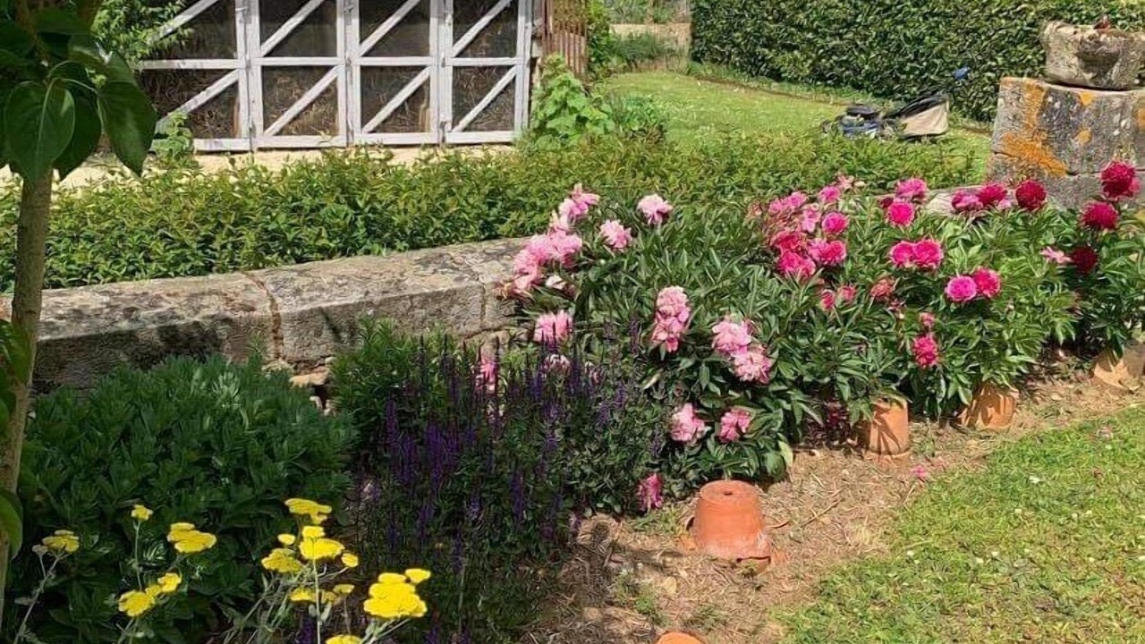 Photo of Outdoor in Airvault