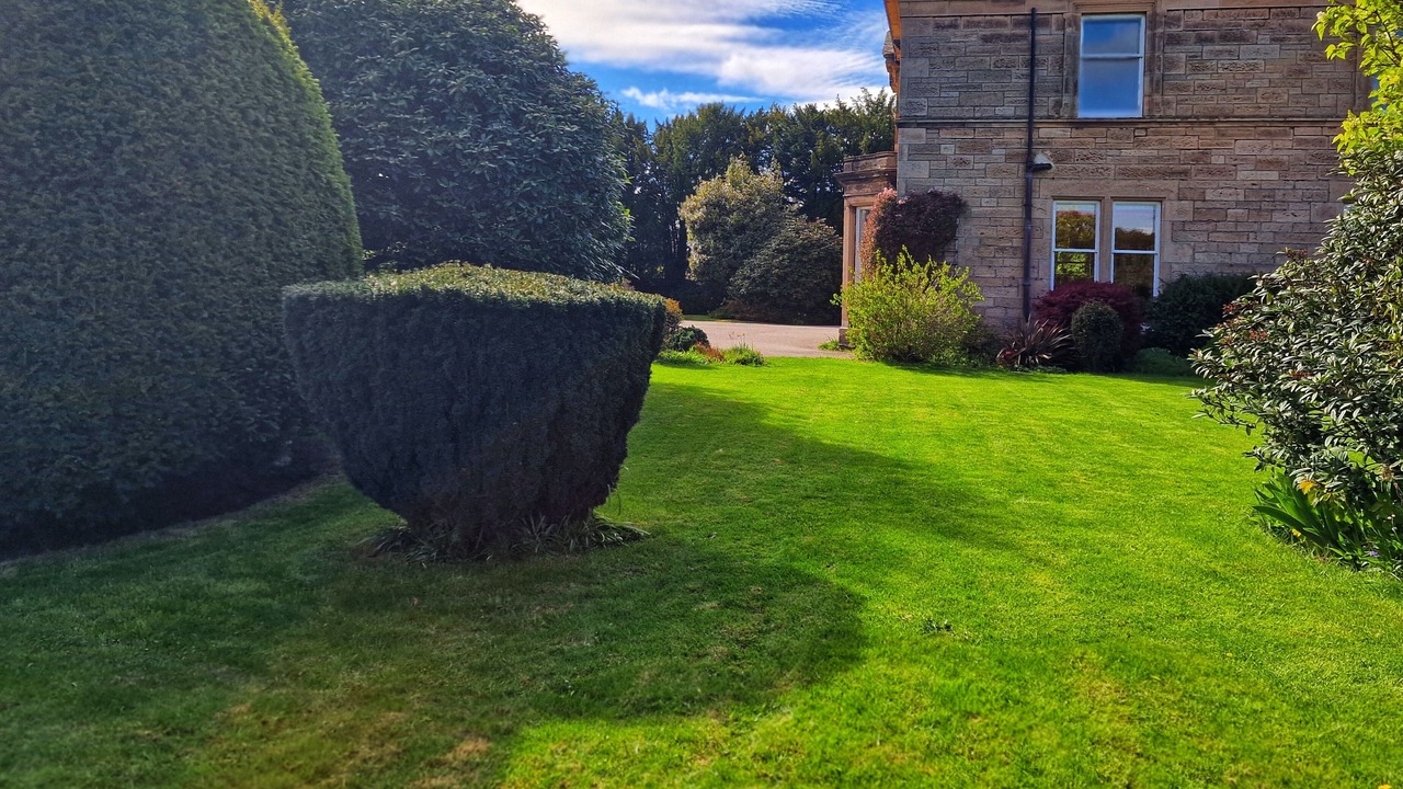 Photo of Outdoor in Elgin