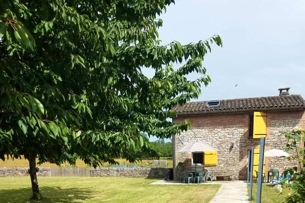 Photo of Outdoor in Montricoux
