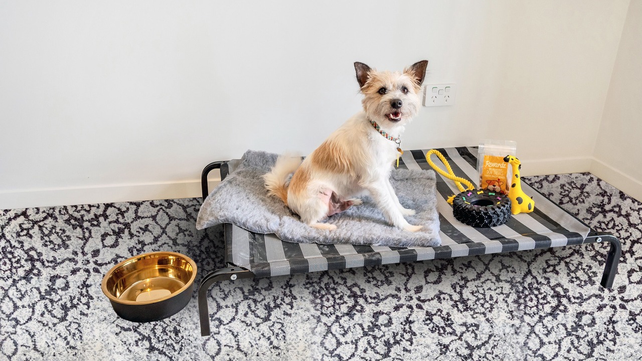 Photo of Others in Avondale