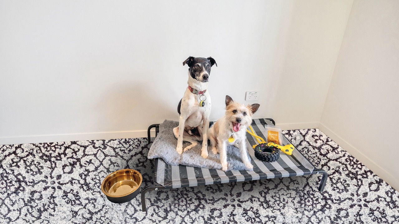 Photo of Others in Avondale