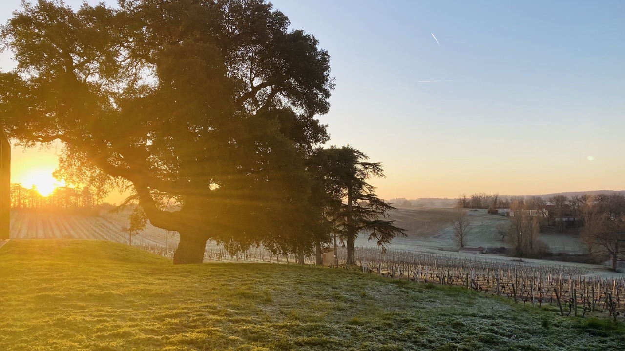 Photo of Outdoor in Caussens