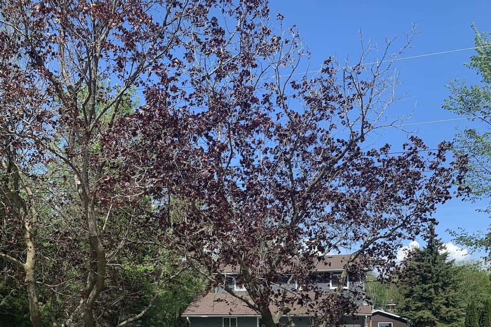 Photo of Outdoor in Peterborough