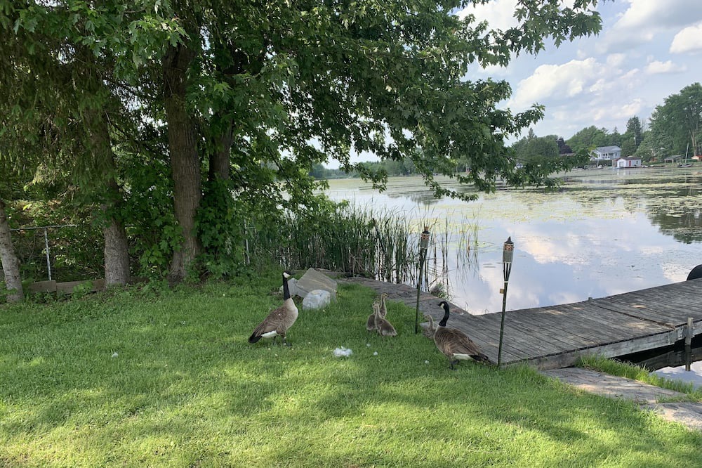 Photo of Outdoor in Peterborough