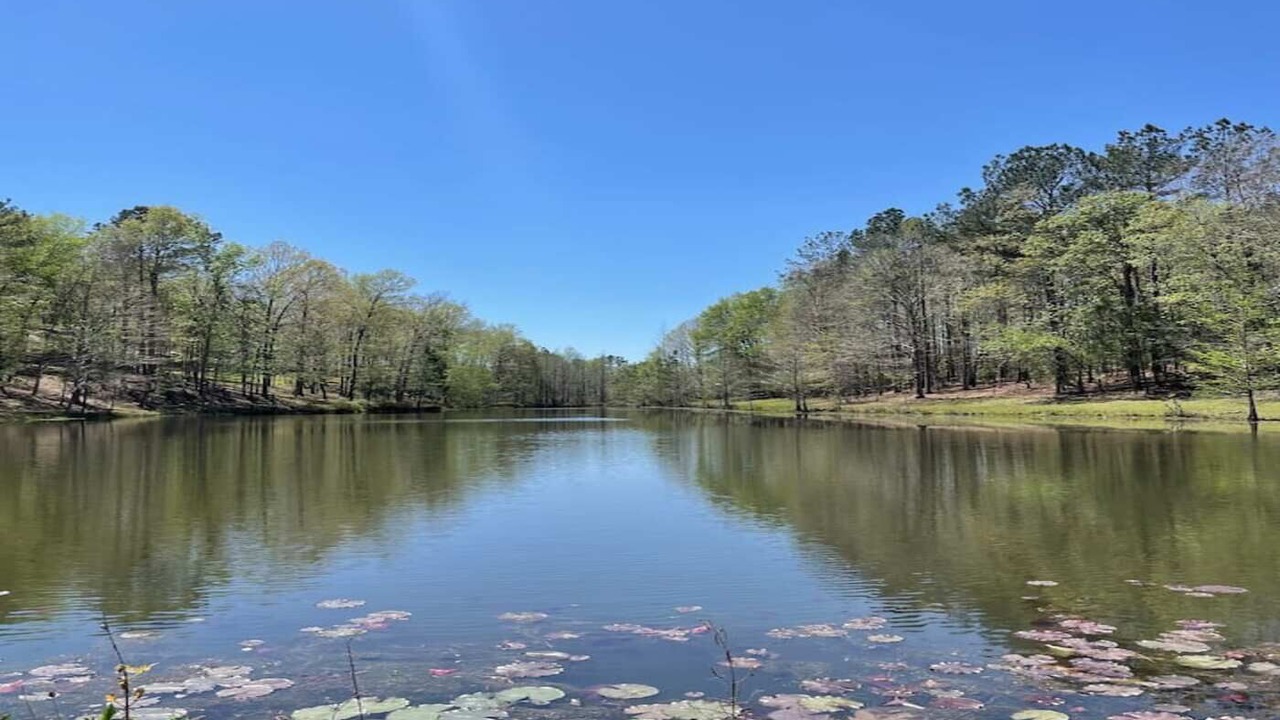 Photo of Outdoor in Eastabuchie