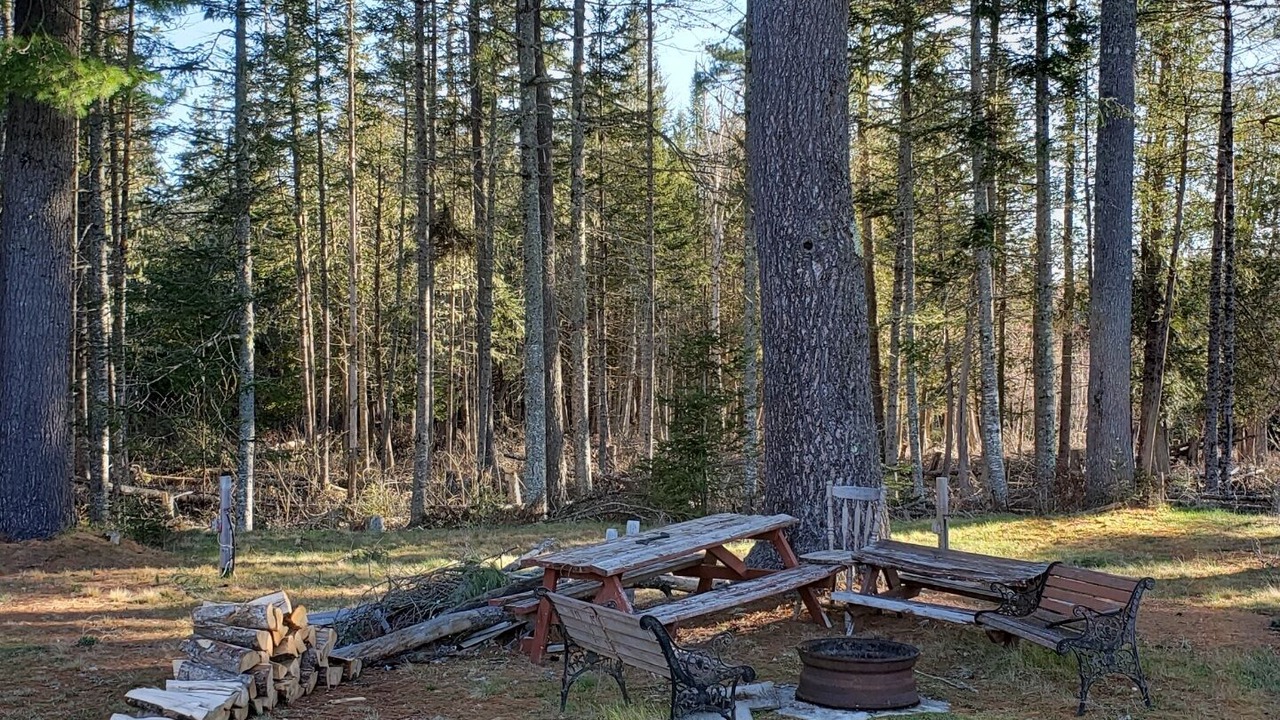 Photo of Outdoor in Saint David