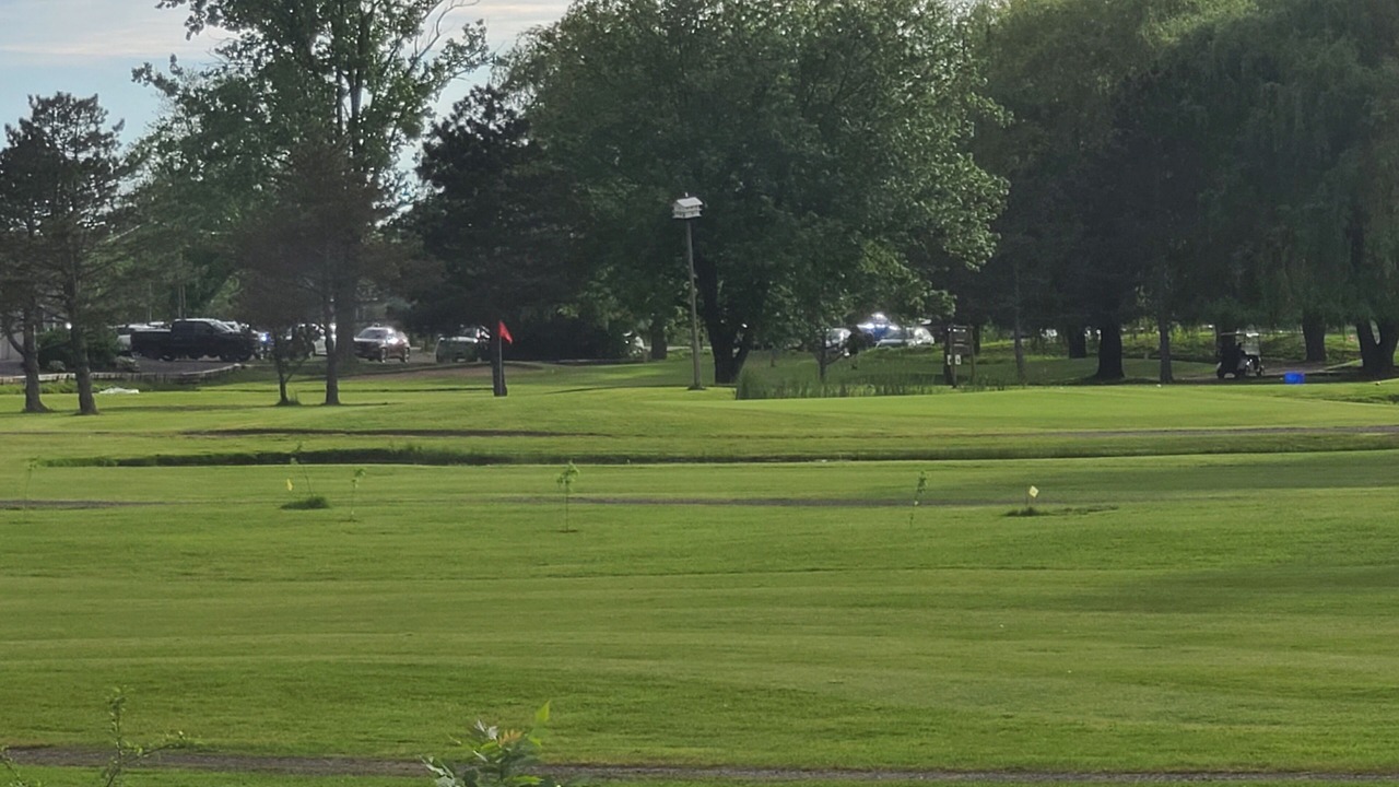 Photo of Others in Fort Erie