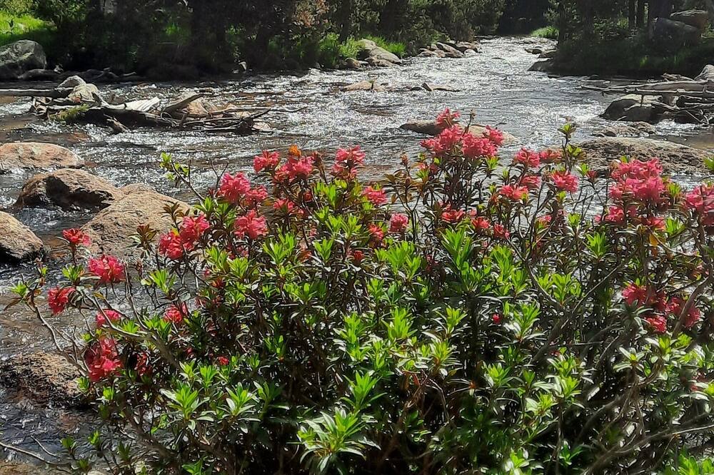 Photo of Outdoor in La Cabanasse