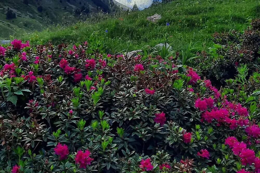 Photo of Outdoor in La Cabanasse