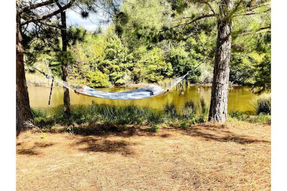 Photo of Outdoor in Marietta