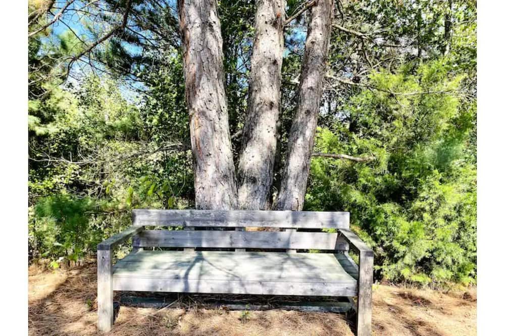 Photo of Outdoor in Marietta