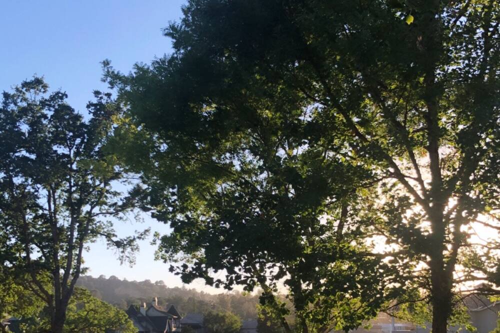 Photo of Outdoor in Copperopolis