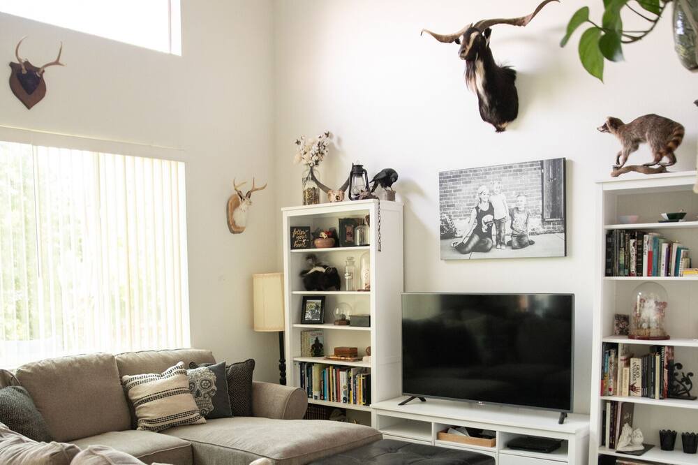 Photo of Livingroom in Brighton