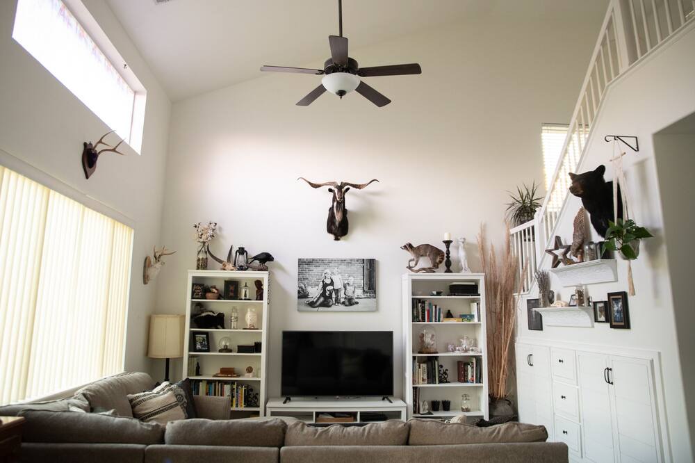 Photo of Livingroom in Brighton
