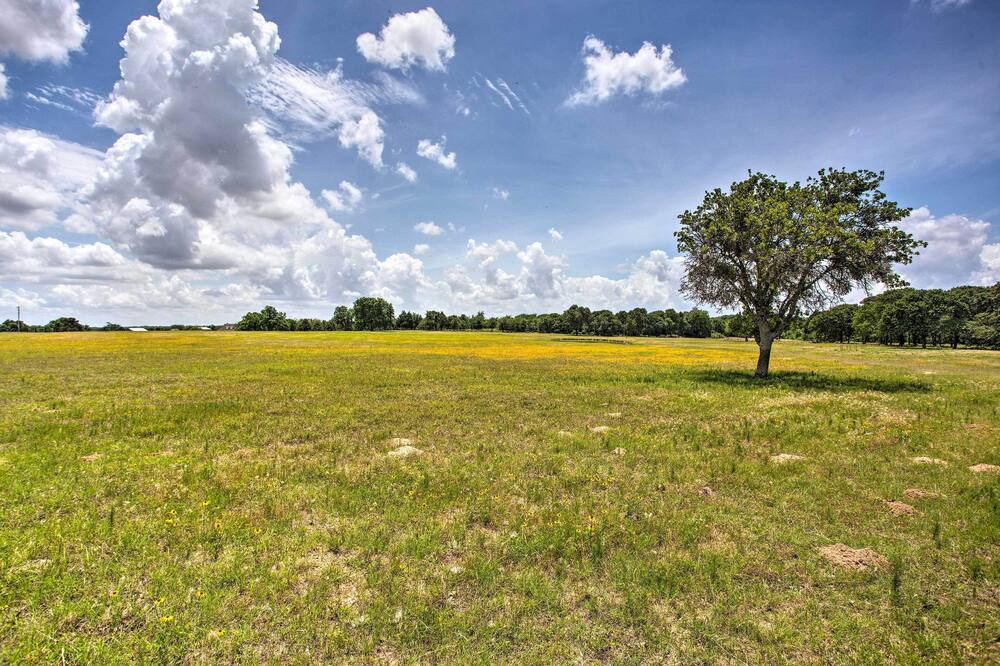 Photo of Outdoor in Pilot Point