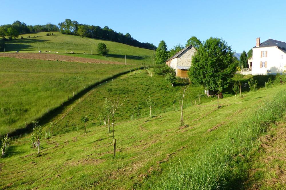 Photo of Outdoor in Lestelle-Betharram