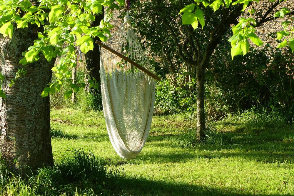 Photo of Outdoor in Lestelle-Betharram