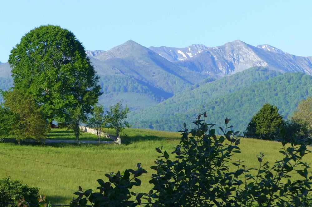 Photo of Outdoor in Lestelle-Betharram