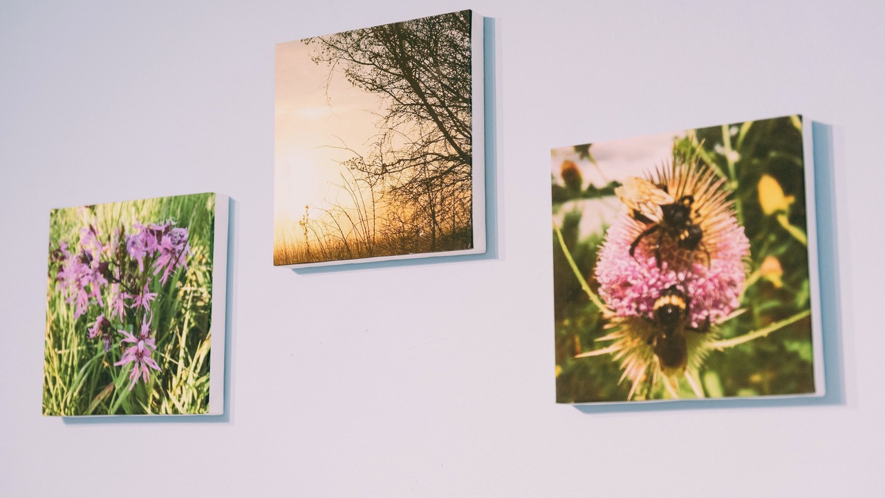 Photo of Others in East Dereham