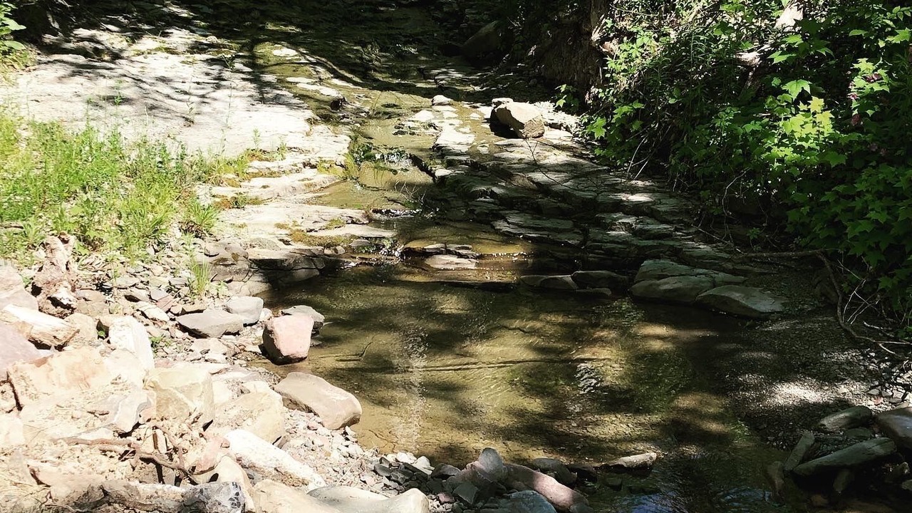 Photo of Outdoor in Town of Broome