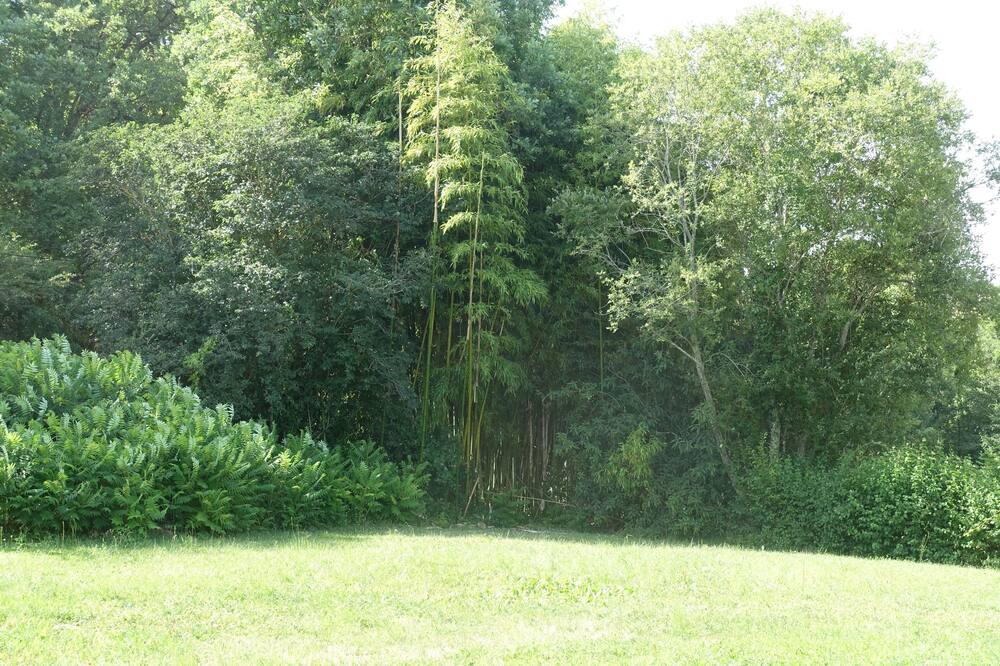 Photo of Outdoor in Castelnau-Montratier-Sainte-Alauzie
