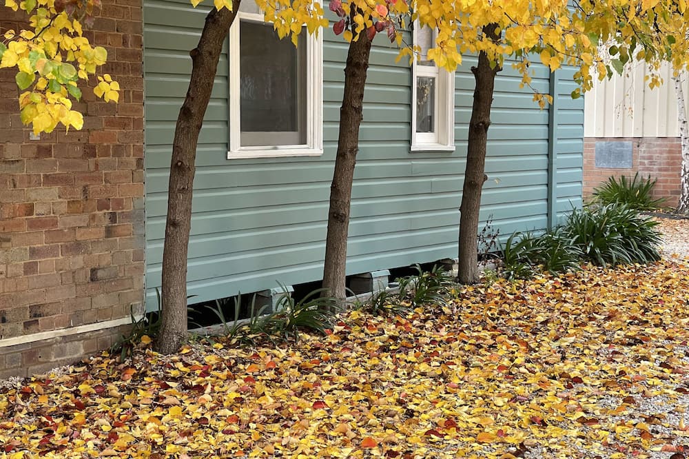 Photo of Others in Wallerawang