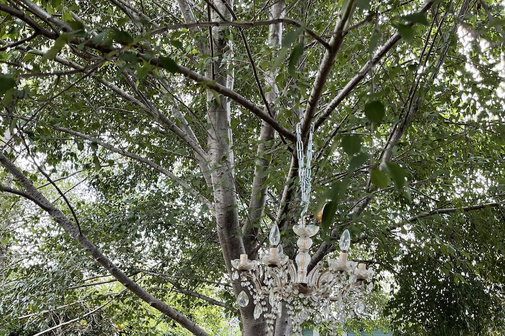 Photo of Outdoor in Wallerawang