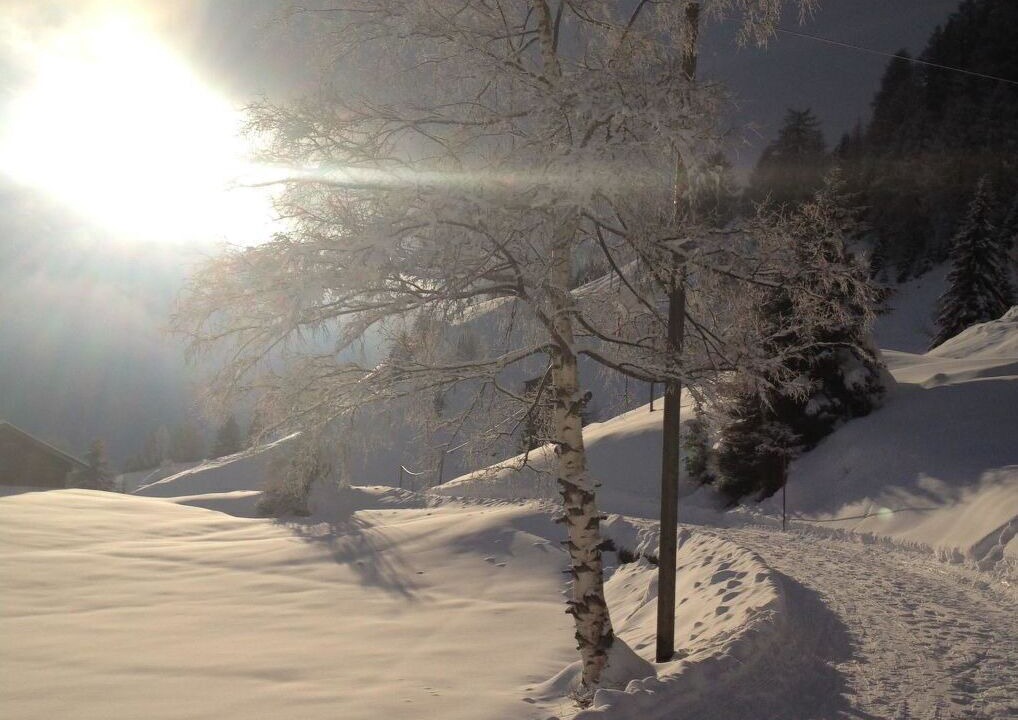 Photo of Others in Bettmeralp