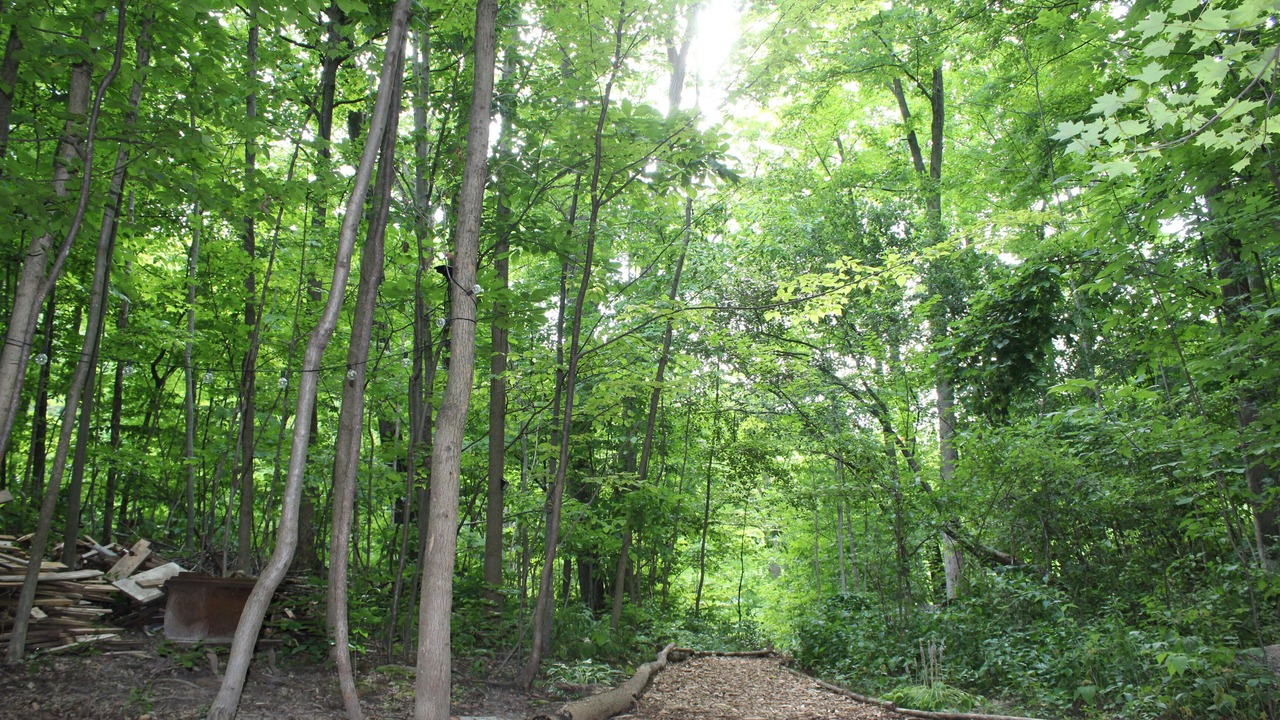 Photo of Outdoor in Hamilton