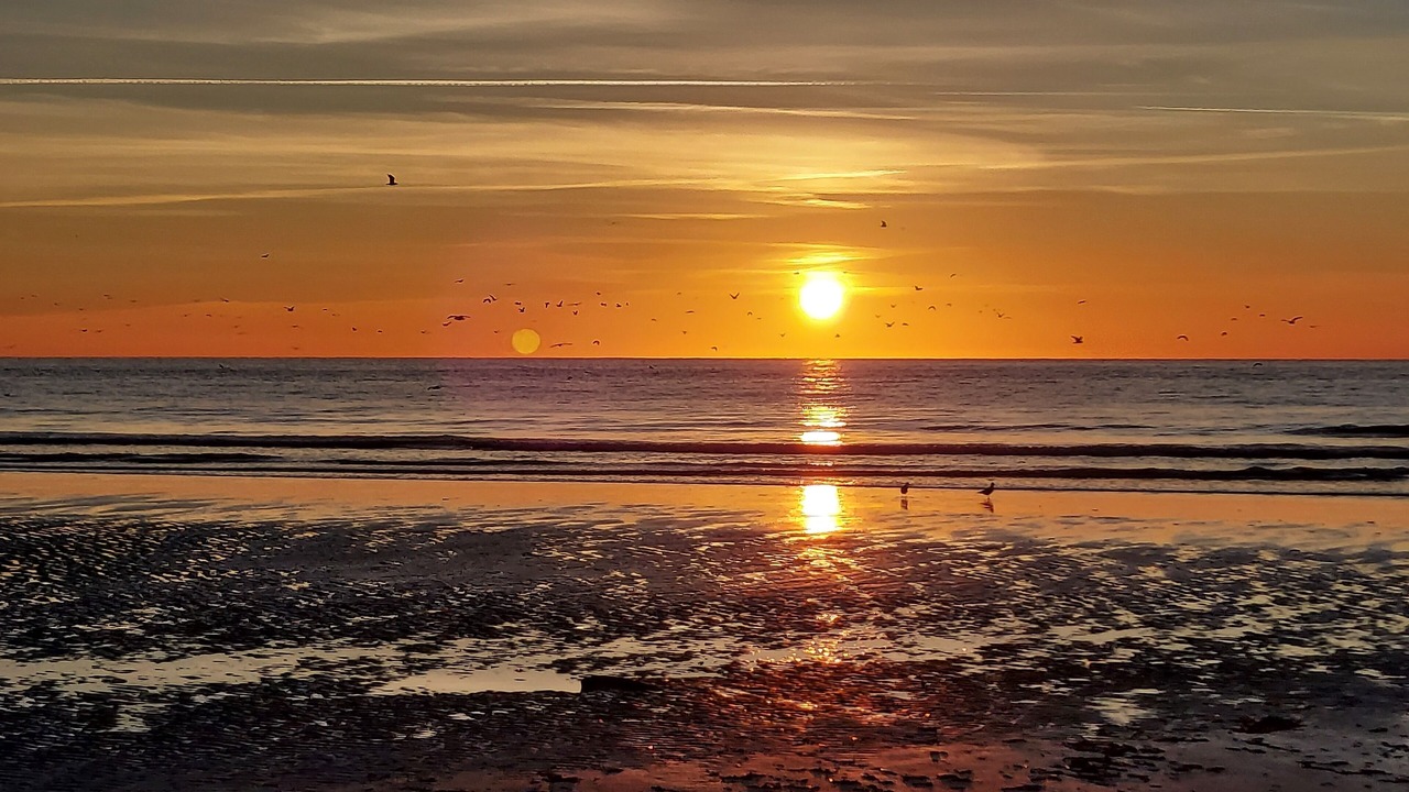 Photo of Others in Neufchatel-Hardelot
