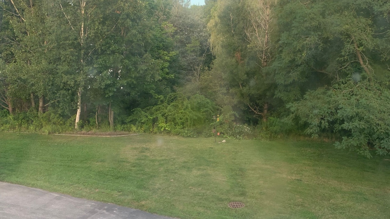Photo of Bedroom in Searsport