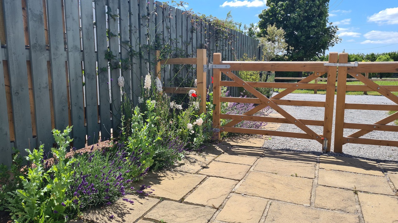 Photo of Others in Muchelney